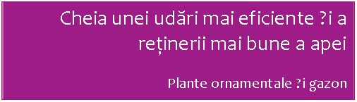 Szvegdoboz: Cheia unei udri mai eficiente și a reinerii mai bune a apei 

Plante ornamentale și gazon
